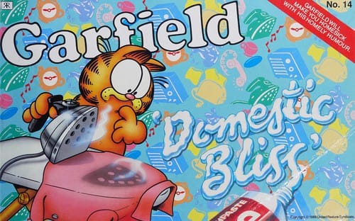 Garfield domestic bliss