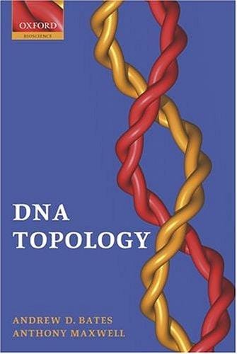 DNA topology