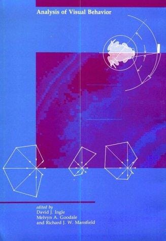 Analysis of visual behavior