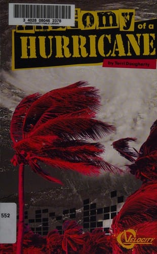 Anatomy of a hurricane