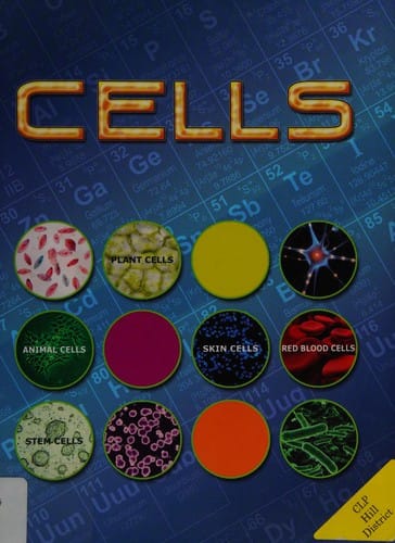 Cells