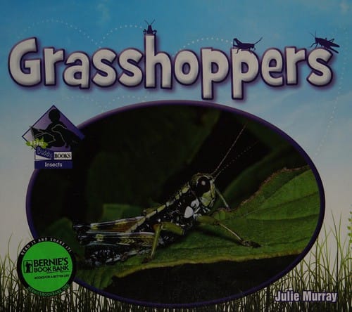 Grasshoppers