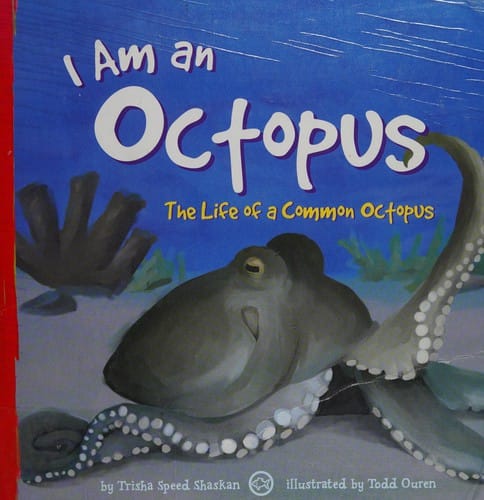 I am an octopus