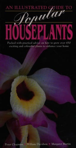 An illustrated guide to popular houseplants