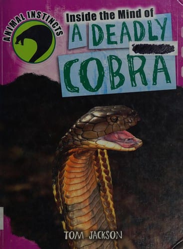 Inside the mind of a deadly cobra