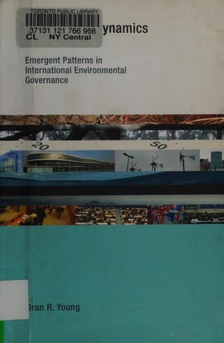 Institutional dynamics