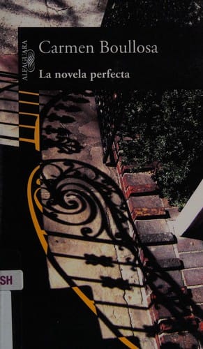 La Novela perfecta