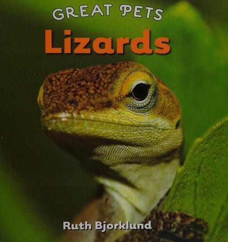 Lizards