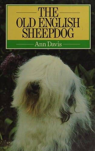 The Old English sheepdog