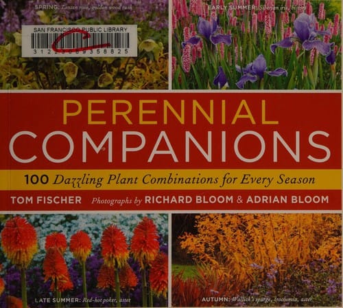 100 perennial combinations
