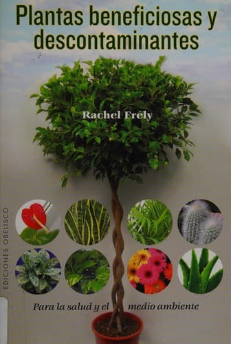 Plantas beneficiosas y descontaminantes