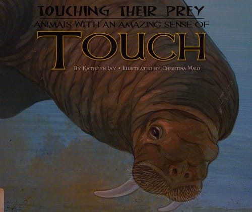 Touching their prey