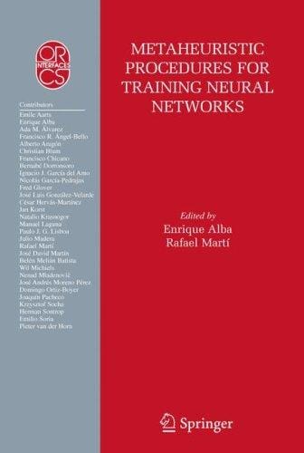 Metaheuristic procedures for training neural networks