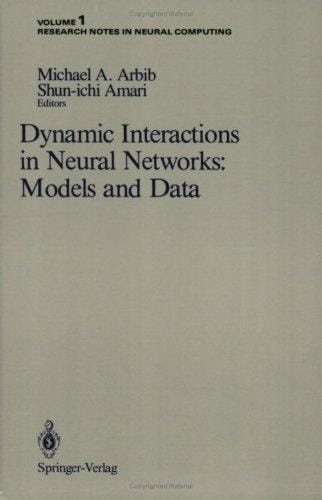 Dynamic interactions in neural networks