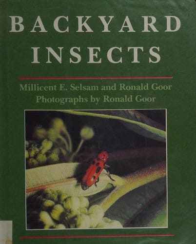 Backyard insects