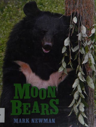 Moon bears