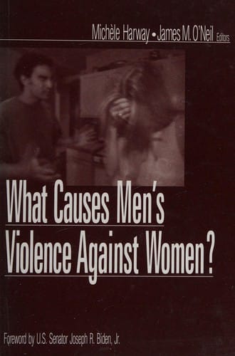 What causes men's violence against women?