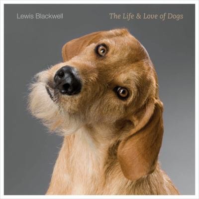 The life & love of dogs
