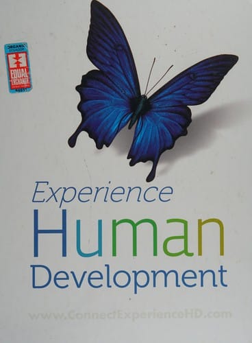 Experience human development