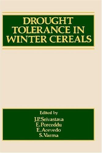 Drought tolerance in winter cereals