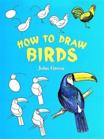 How to draw birds