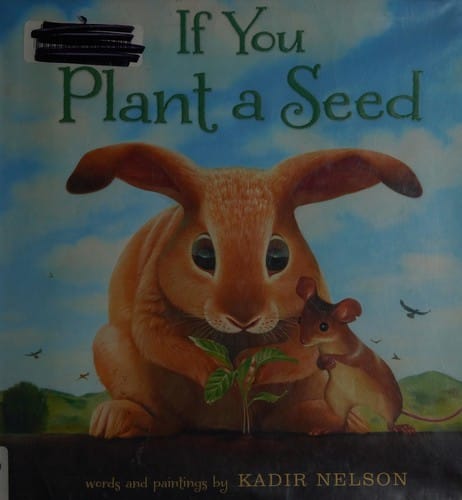 If you plant a seed
