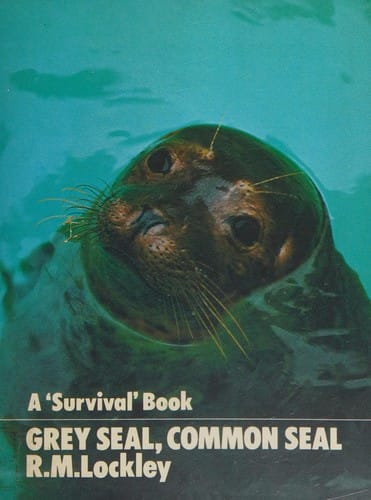 Grey seal, common seal