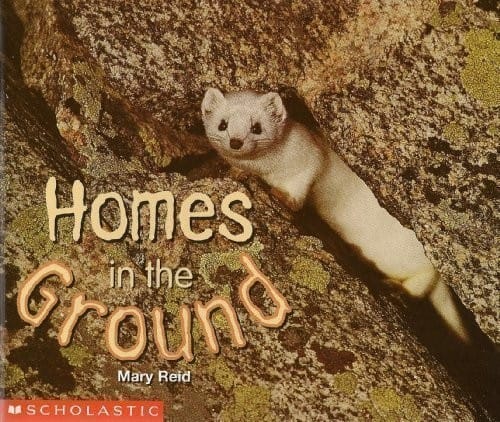 Homes in the Ground