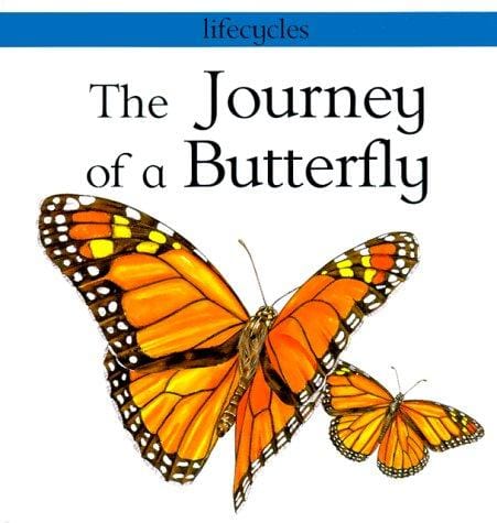 The journey of a butterfly