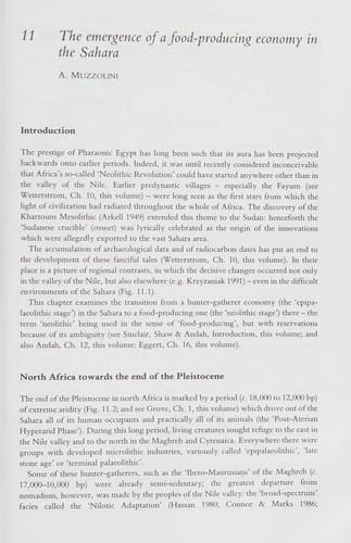 The Archaeology of Africa