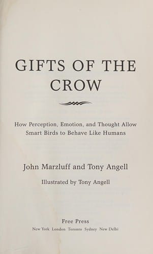 Gifts of the crow