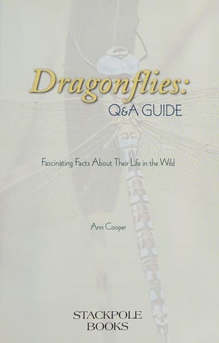 Dragonflies Q&A guide