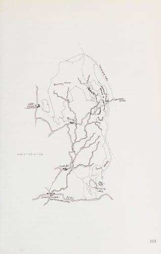 Get to know the forests of Northern England