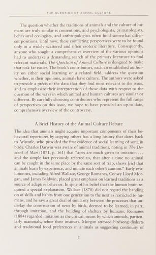 The question of animal culture