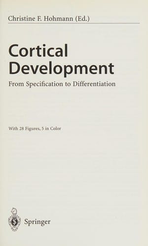Cortical development