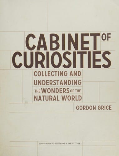 Cabinet of curiosities
