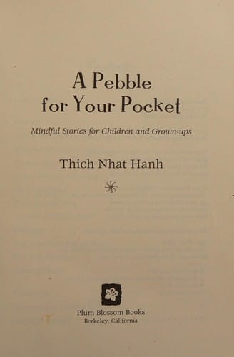 A pebble for your pocket