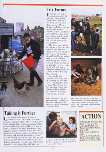 Blue Peter Action Book