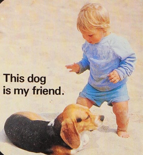 Baby's Animal Friends