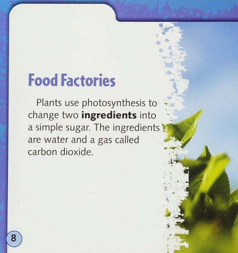 Plants make their own food