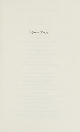 Opium poppy