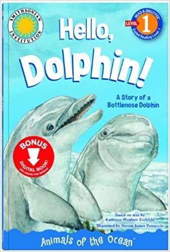 Bottlenose dolphin