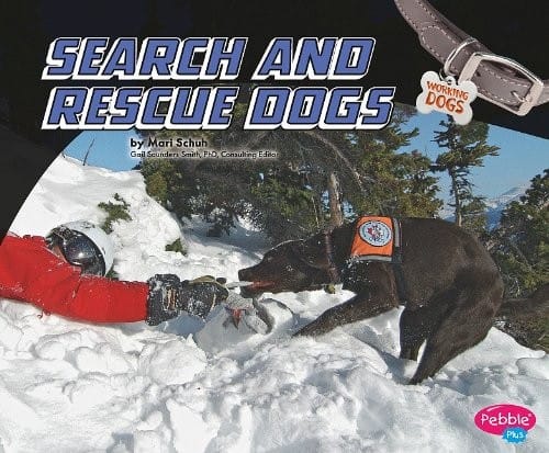 Search and rescue dogs