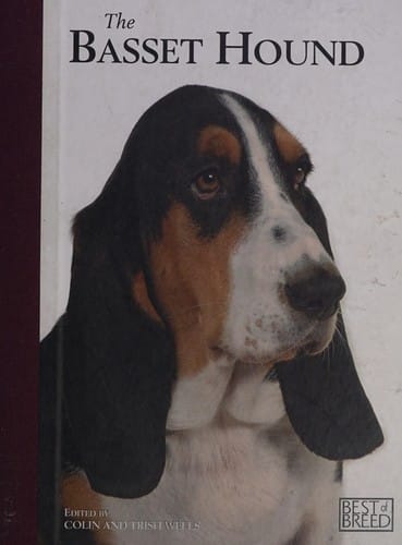 The basset hound