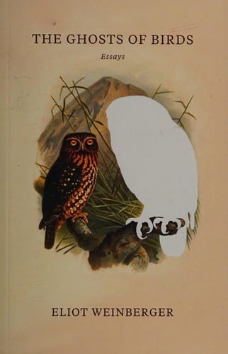 The ghosts of birds