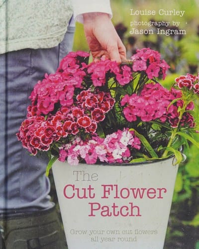 The cut flower patch