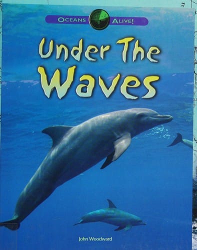 Under the waves