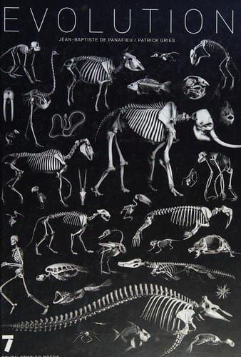 Evolution