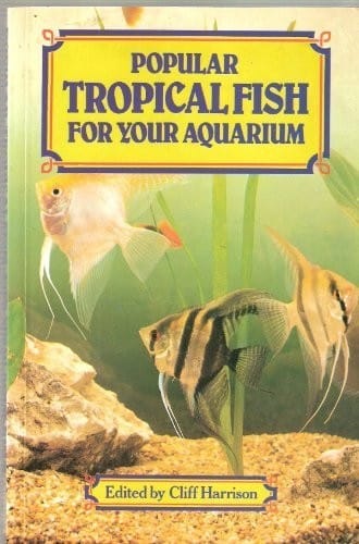Popular tropical fish for your aquarium