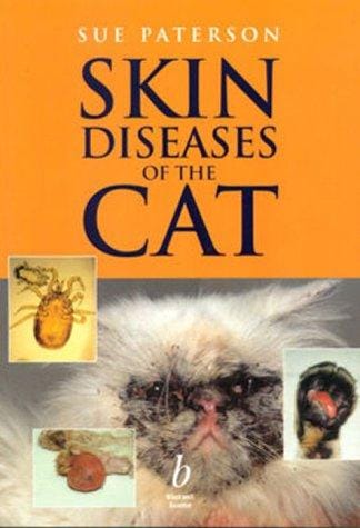 Skin diseases of the cat